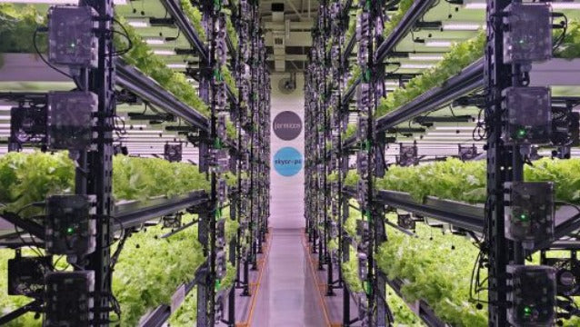 Skycrops ile dikey tarım: Topraksız, pestisitsiz ve yıl boyu taze